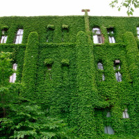 20080619 Green Wall