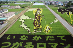 Artistic Rice Paddy, Aomori / 田舎館田んぼアート