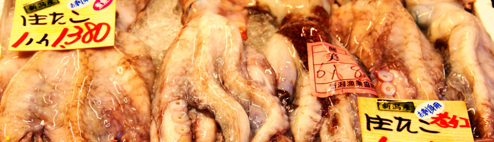 Octopus, Niigata Furusato Mura
