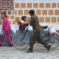 Pig on bike - Kaesong North Korea