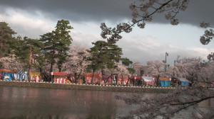 Sakura Festival, Takada Park, Joetsu, Niigata / 高田城百万人観桜会