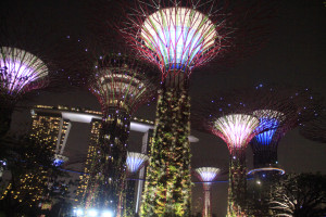 Singapore 201209