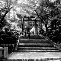 弥彦神社、新潟県、日本。 yahiko jinja, niigata city, japan